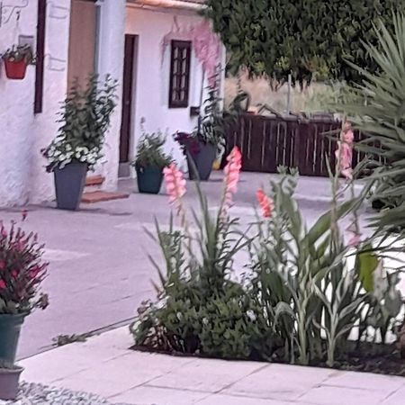 Villa Casa Calado Cadima Exterior foto