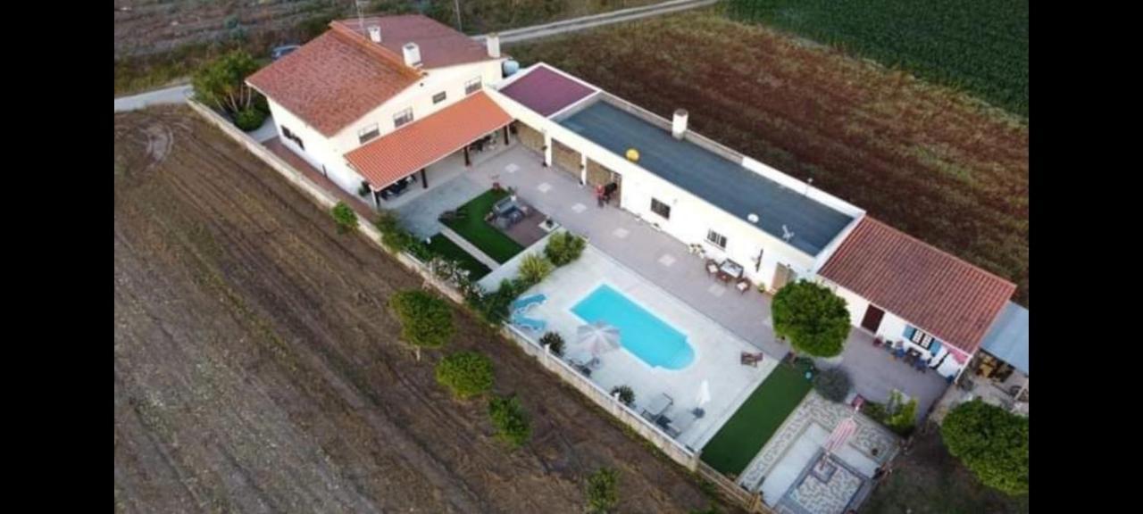 Villa Casa Calado Cadima Exterior foto